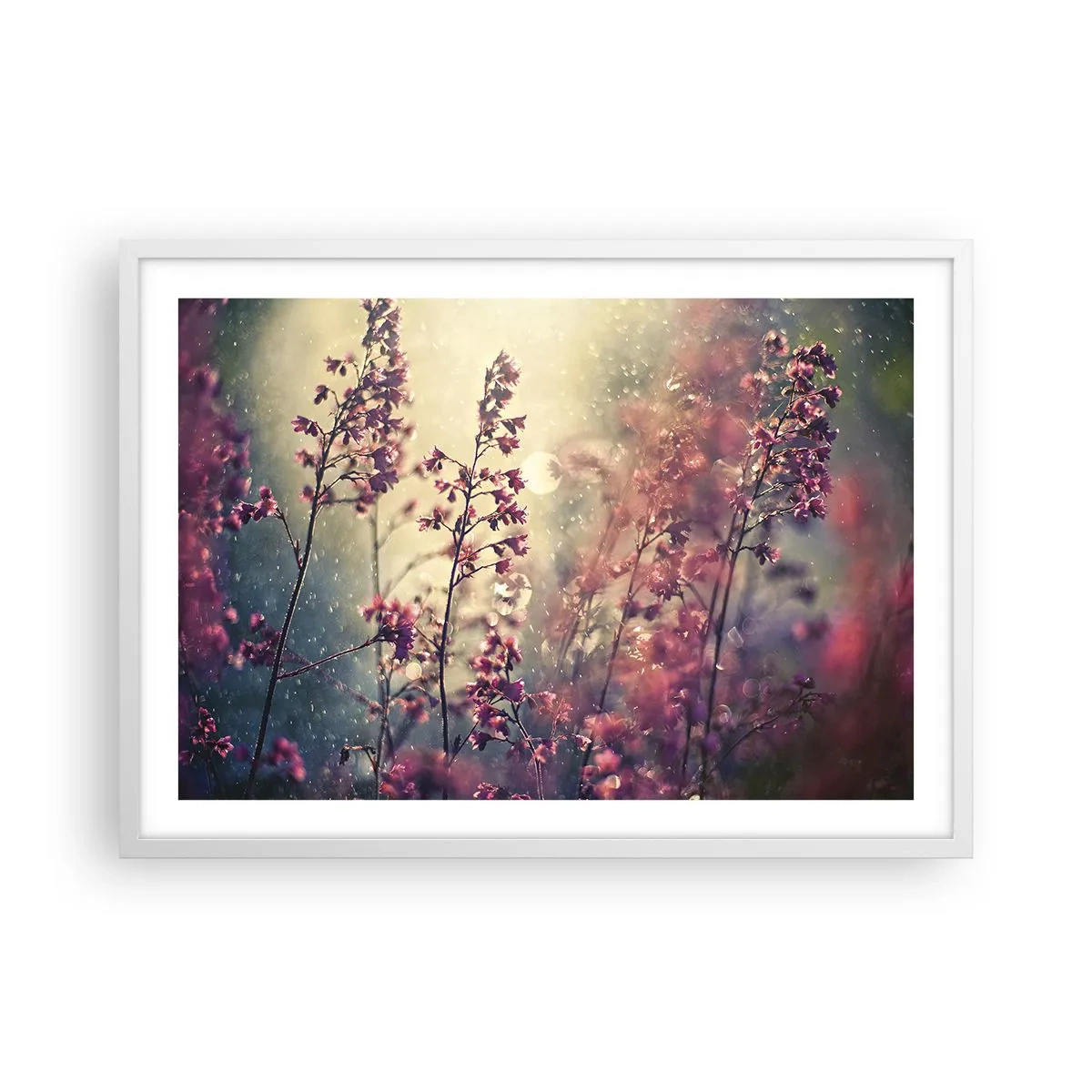 Affiche dans un cadre blanc - Poster - Jardin secret - 70x50 cm