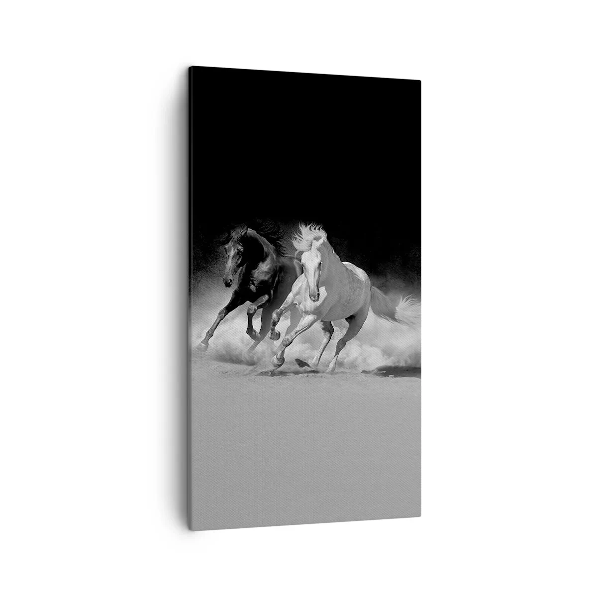 Impression sur toile - Image sur toile - Galop de la liberté - 45x80 cm