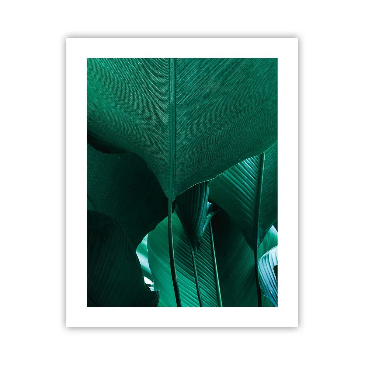 Affiche - Poster - Tourné vers la lumière - 40x50 cm