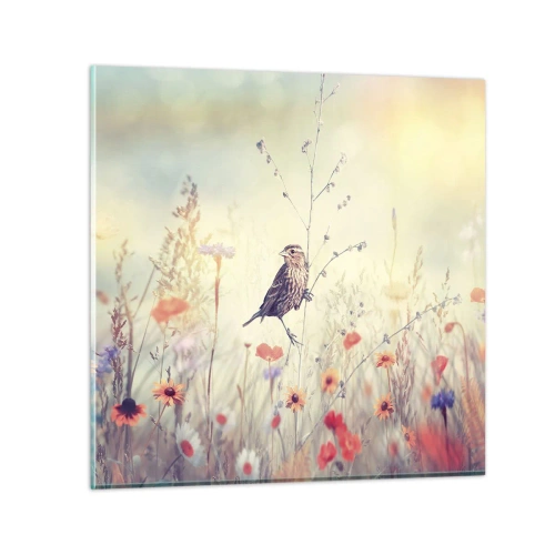 Impression sur verre - Image sur verre - Portrait d'oiseau sur pré en fond - 70x70 cm