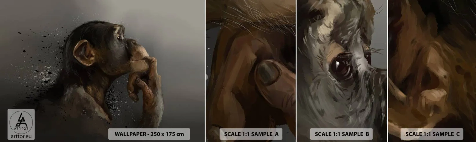 Échantillon De Papier Peint Standard Eco - Certainement un penseur - Animaux, Singe, Morceau - 100x30 cm