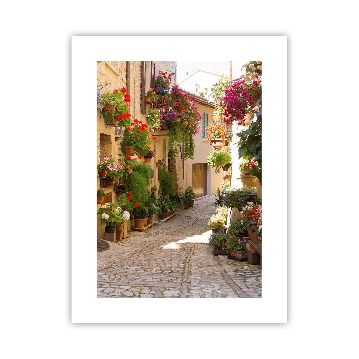 Affiche - Poster - Une inondation de fleurs - 30x40 cm