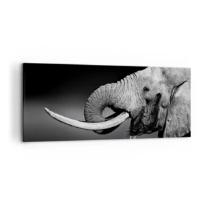 Impression sur toile - Image sur toile - Portrait noir et blanc d'un éléphant de profil - 120x50cm - Oui, c'est bon maintenant - Décoration murale moderne pour le salon et la chambre ARTTOR