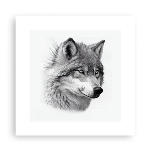Affiche - Poster - Alpha – sans aucun doute - 30x30 cm