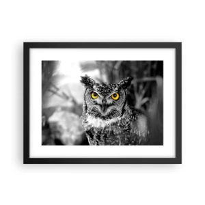 Affiche dans un cadre noir - Poster - Rien ne se cachera - 40x30 cm