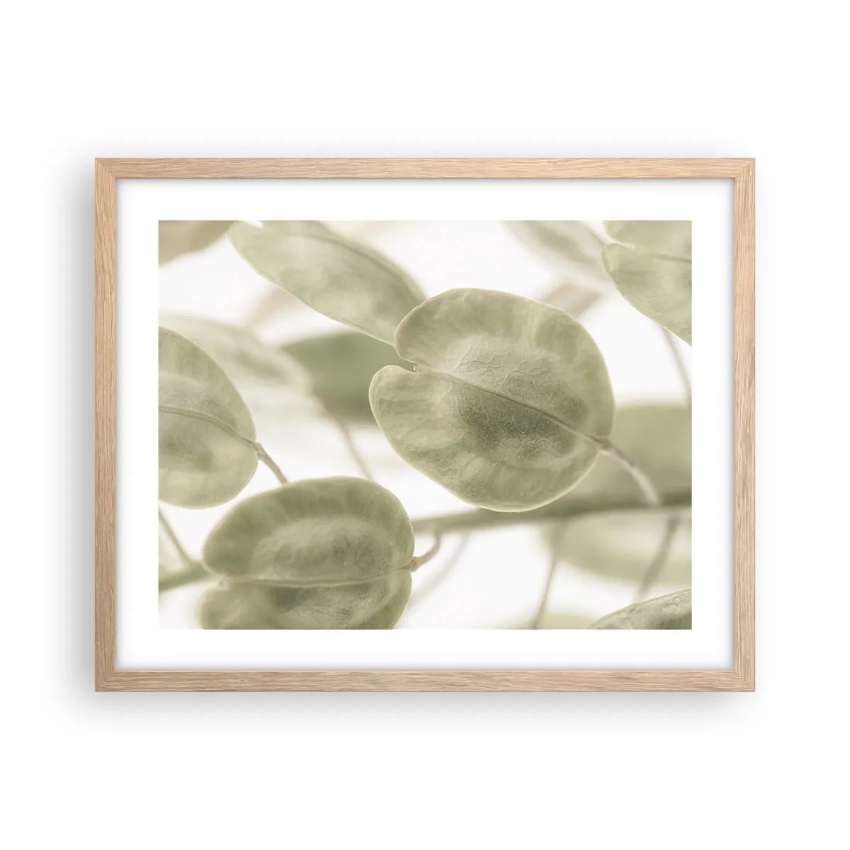 Affiche dans un chêne clair - Poster - Au commencement il y avait des feuilles... - 50x40 cm