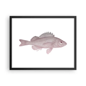 Affiche dans un cadre noir - Poster - Poisson aux grands yeux - 50x40 cm