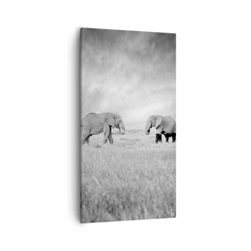 Impression sur toile - Image sur toile - Le gris est beau - 55x100 cm