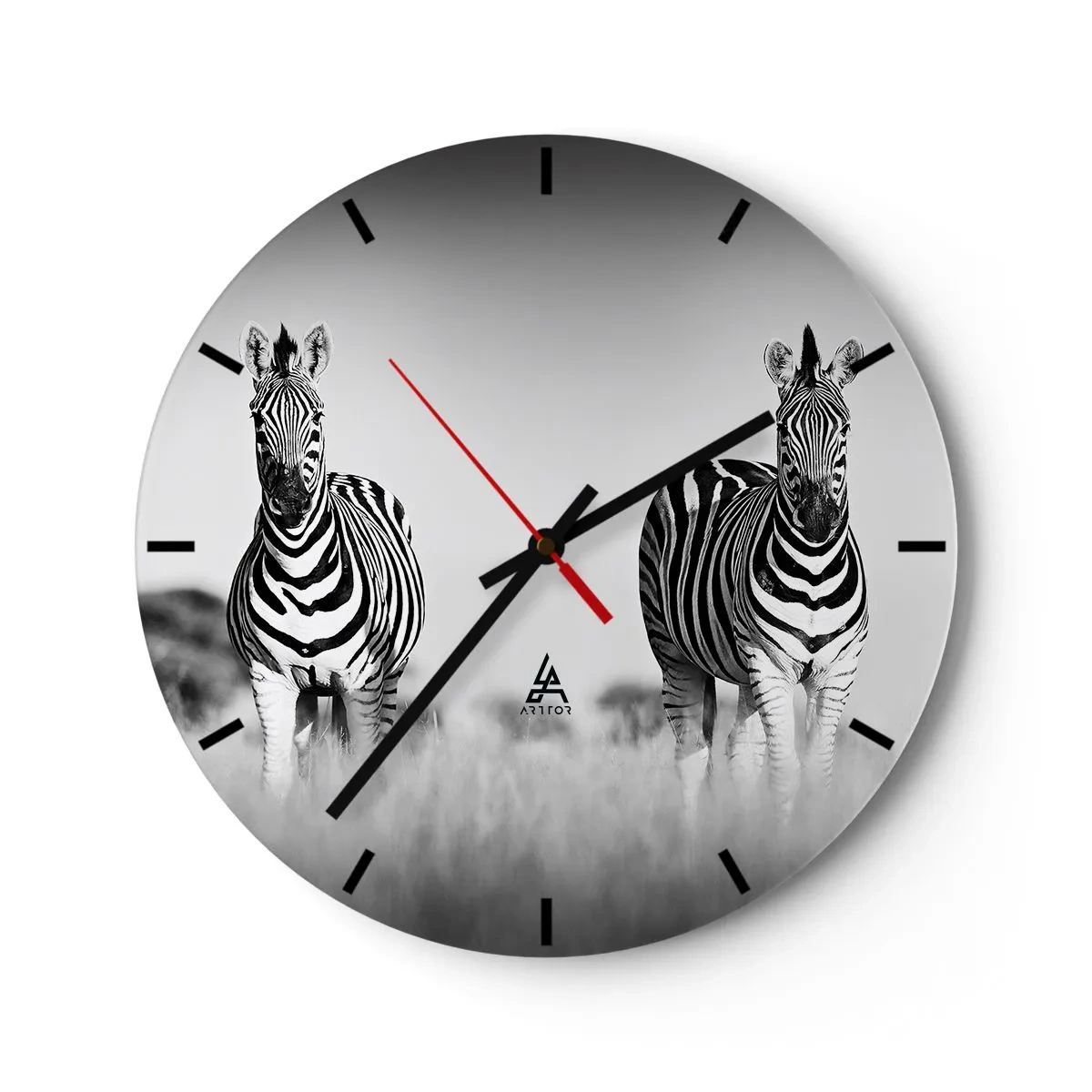 Horloge murale - Pendule murale - Deux zèbres dans la savane en noir et blanc - 30x30cm - Le monde est bel et bien noir et blanc - Décoration murale moderne pour le salon, la cuisine et la chambre ARTTOR