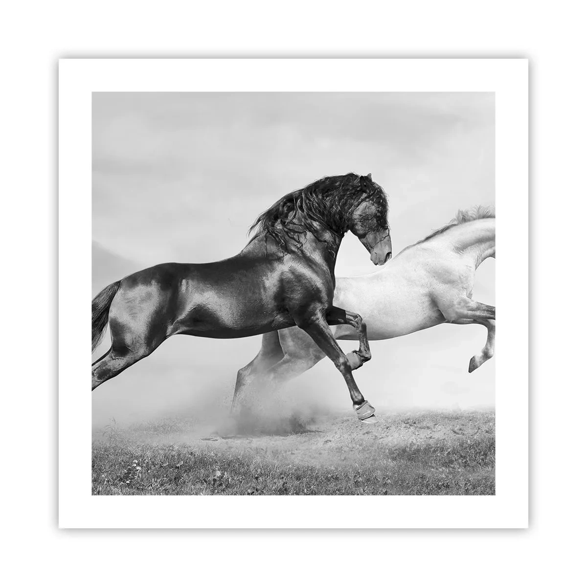 Affiche - Poster - Anges et démons - 50x50 cm