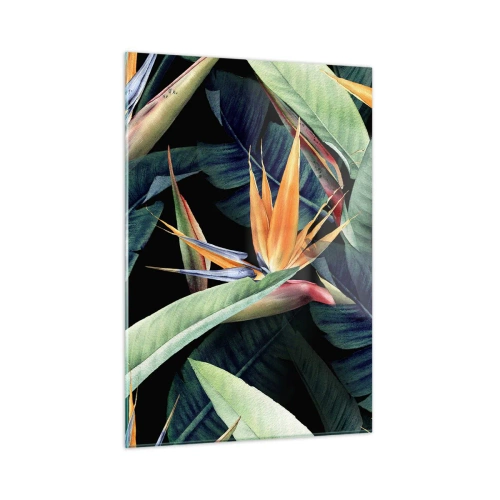 Impression sur verre - Image sur verre - Fleurs de Strelitzia et feuilles tropicales sur fond noir - 50x70cm - Fleurs flamboyantes des tropiques - Décoration murale moderne pour le salon et la chambre ARTTOR