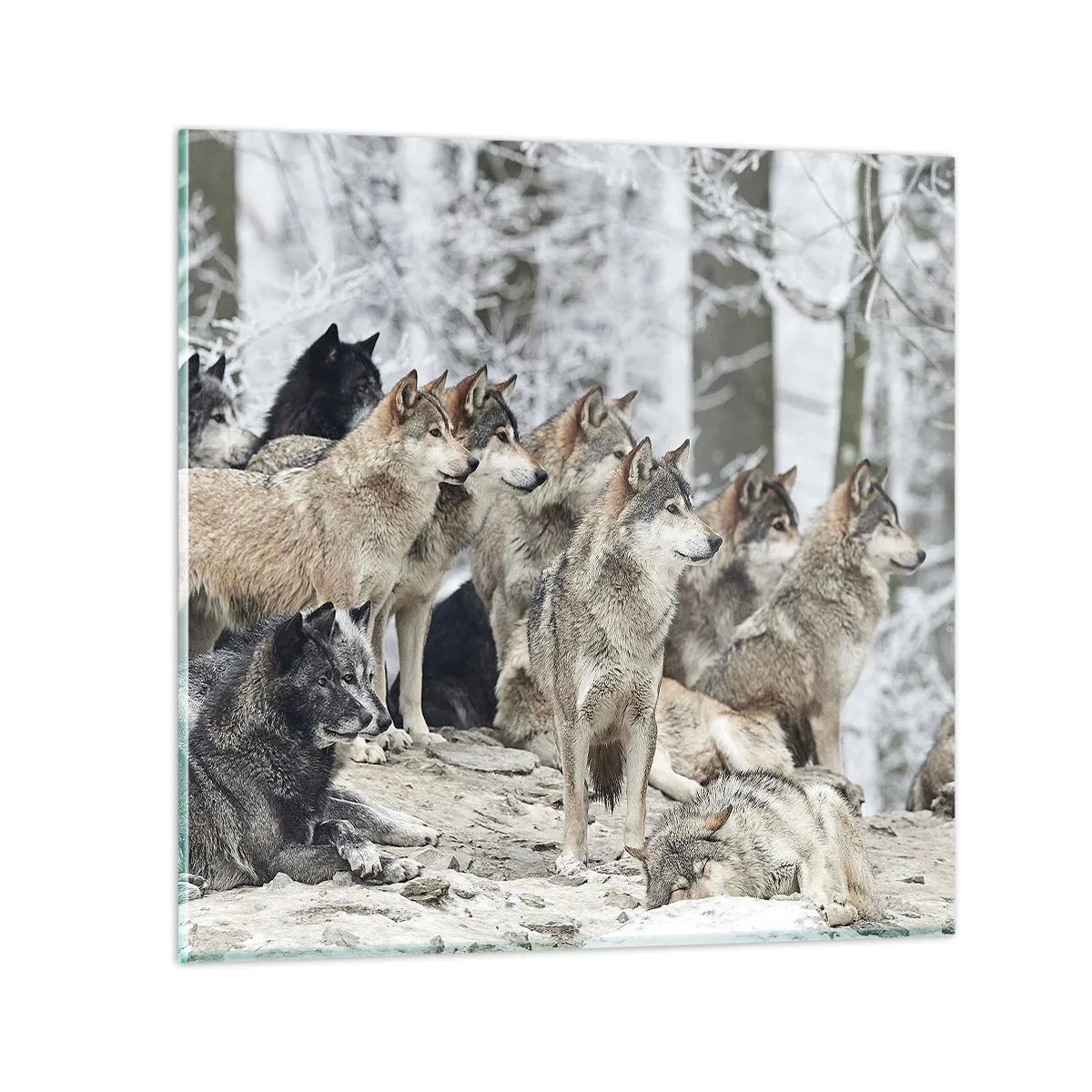 Impression sur verre - Image sur verre - Famille et amis - 40x40 cm