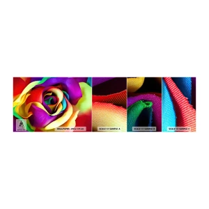 Échantillon de Papier Peint Autocollant Deluxe Sticker - Ce n'est pas possible - Abstraction, Fleur, Rose colorée - 100x30 cm