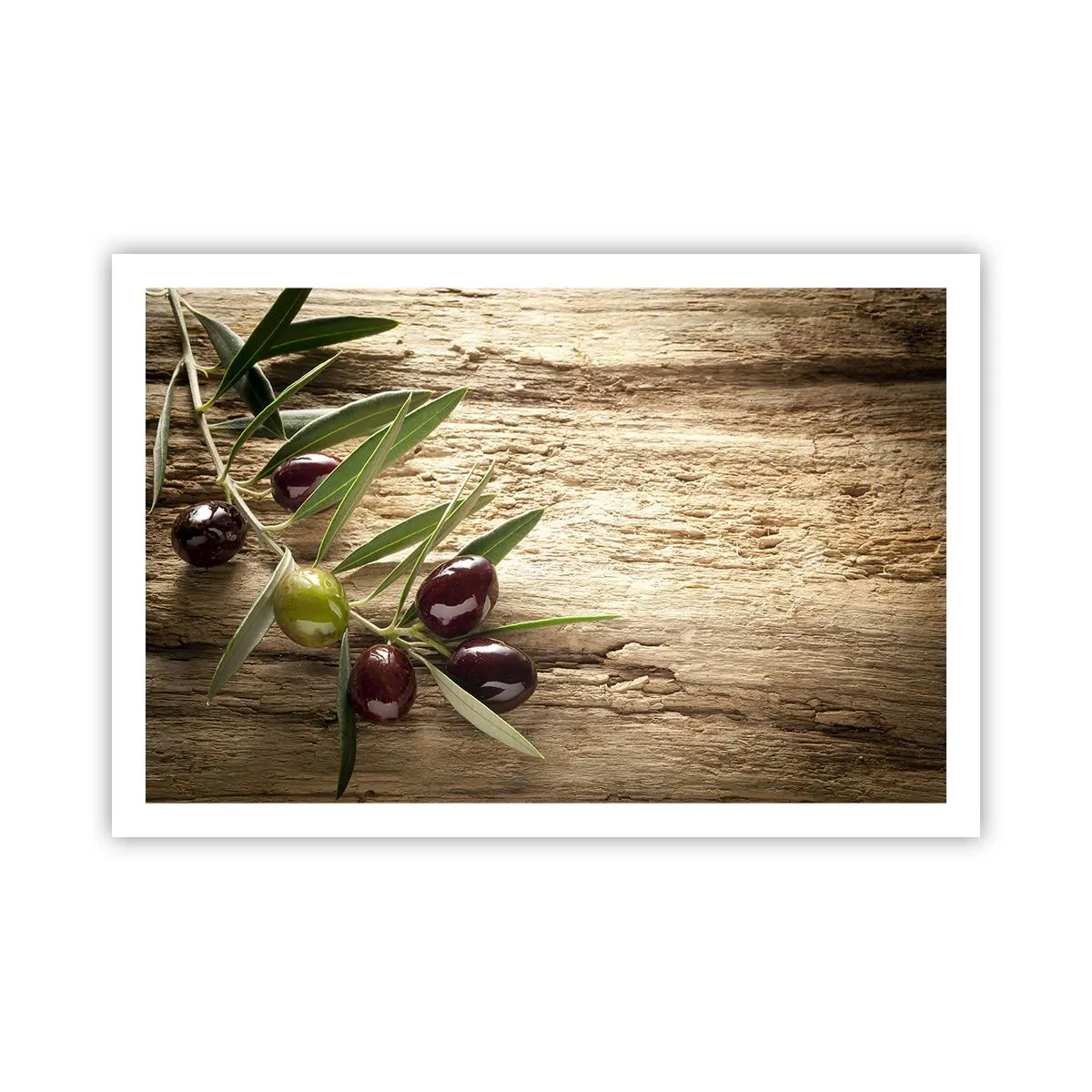 Affiche - Poster - Directement de la nature - 91x61 cm