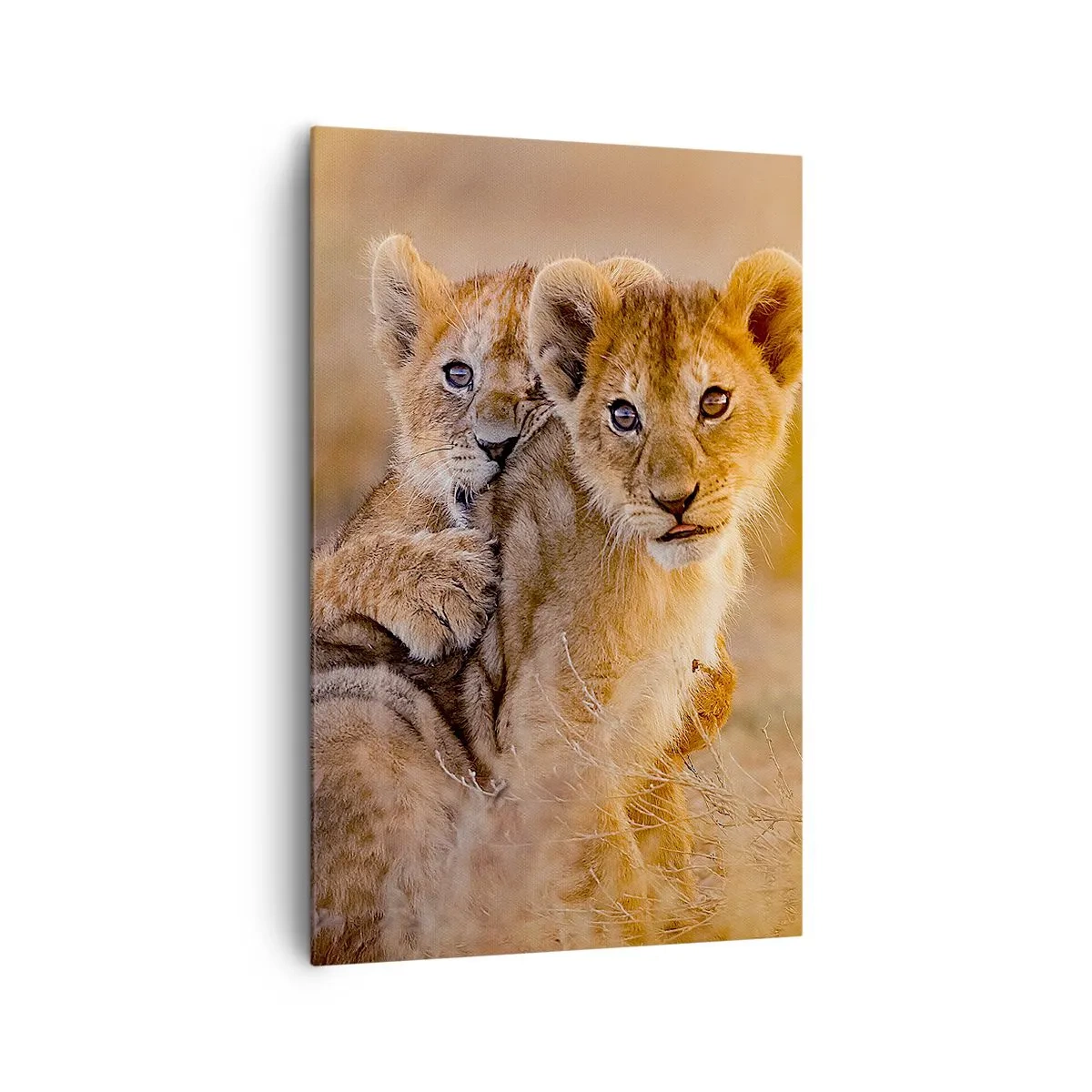 Impression sur toile - Image sur toile - Adorables lionceaux dans leur environnement naturel - 80x120cm - Ne pas déranger! On s'amuse - Décoration murale moderne pour le salon et la chambre ARTTOR