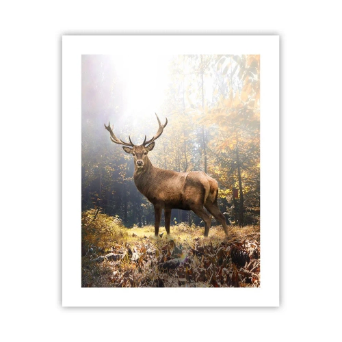 Affiche - Poster - Toute sa majesté - 40x50 cm