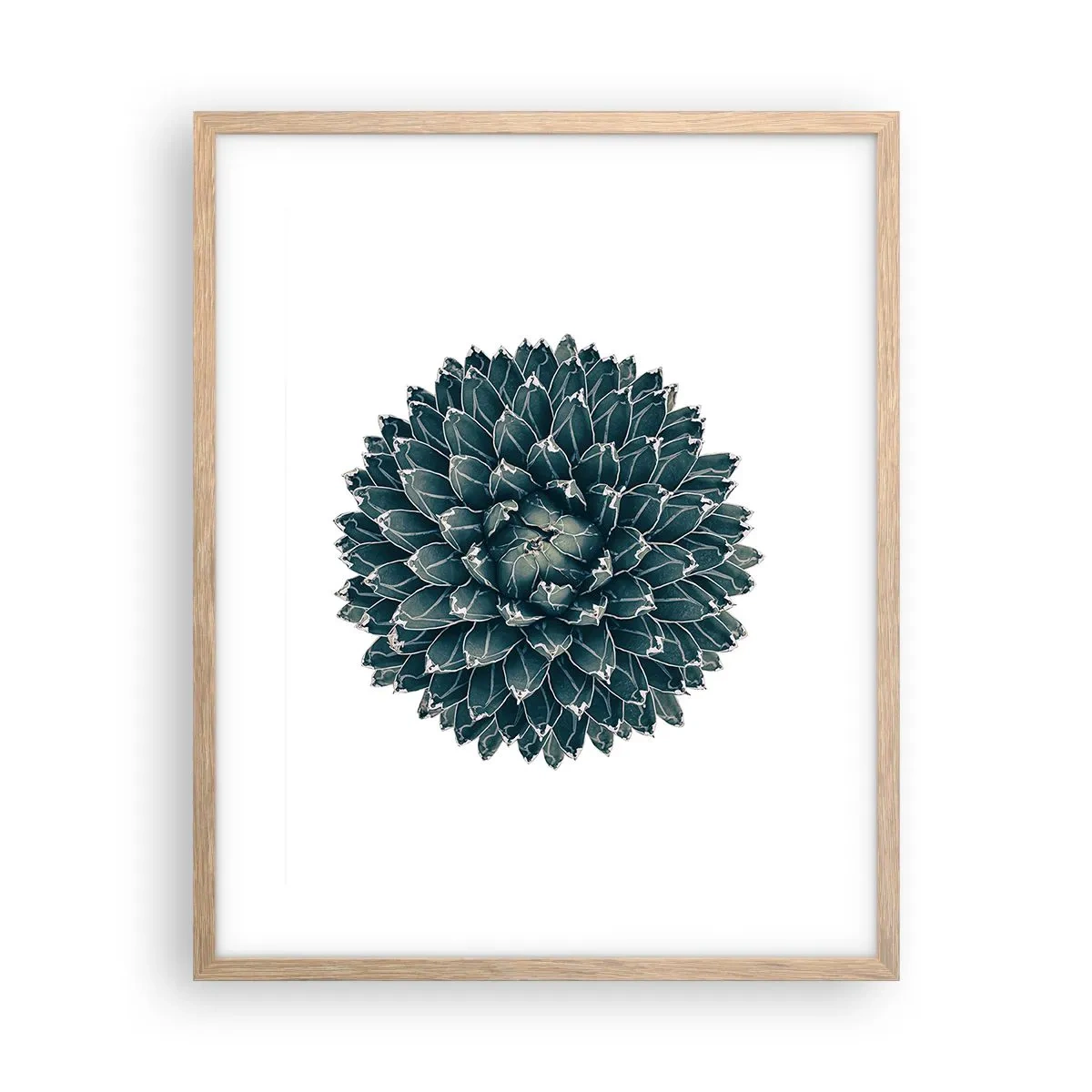 Affiche dans un chêne clair - Poster - Étoile du désert - 40x50 cm