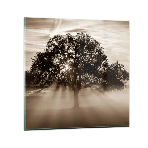Impression sur verre - Image sur verre - Arbre de bonnes nouvelles - 40x40 cm