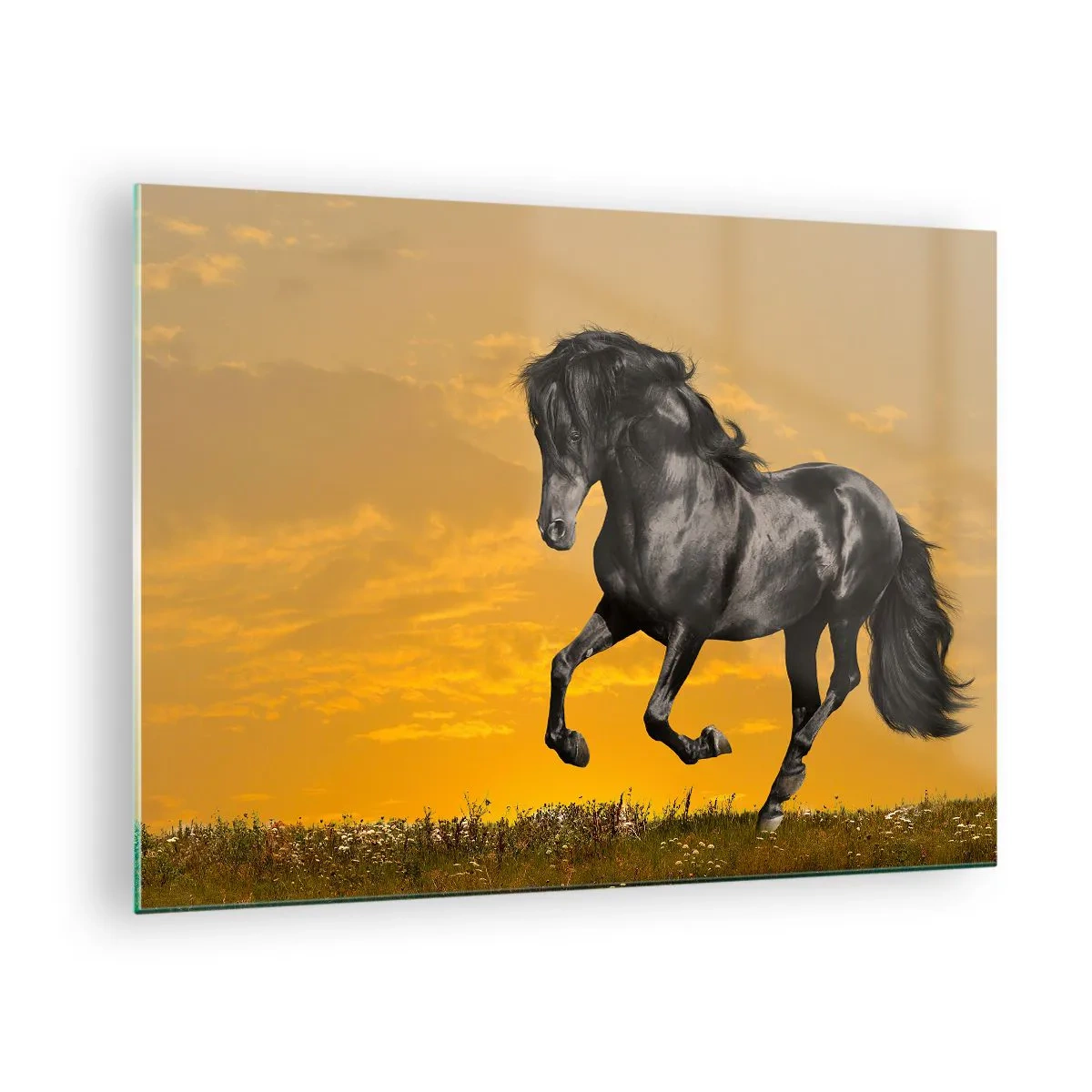 Impression sur verre - Image sur verre - Un cheval noir galopant contre le soleil couchant - 70x50cm - Beau, libre et sauvage - Décoration murale moderne pour le salon et la chambre ARTTOR
