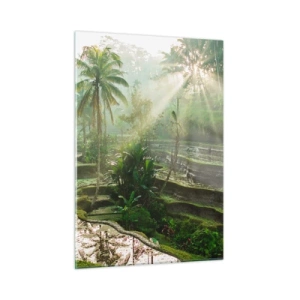 Impression sur verre - Image sur verre - Rizières tropicales avec palmiers dans la brume matinale - 50x70cm - Grandir au soleil - Décoration murale moderne pour le salon et la chambre ARTTOR