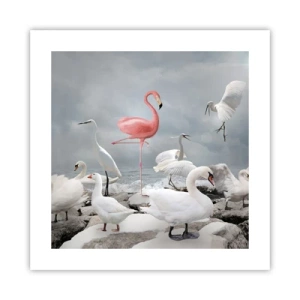 Affiche - Poster - Comment suis-je arrivé là? - 40x40 cm