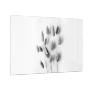 Impression sur verre - Image sur verre - Épis d'herbe noirs et blancs sur fond clair dans un style minimaliste - 100x70cm - Son herbe duveteuse - Décoration murale moderne pour le salon et la chambre ARTTOR
