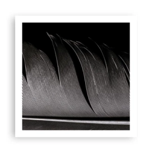 Affiche - Poster - La plume – un design magnifique - 60x60 cm