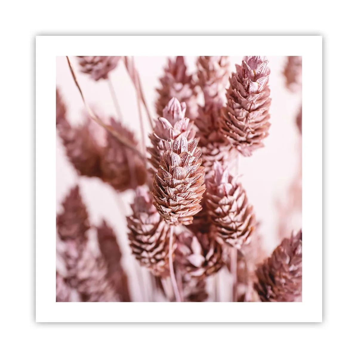 Affiche - Poster - Apparemment discret - 50x50 cm