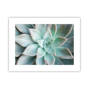 Affiche - Poster - Le coeur du désert - 40x30 cm