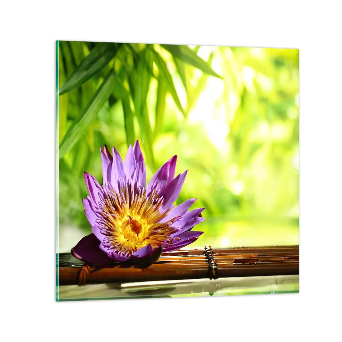 Impression sur verre - Image sur verre - Sous le soleil asiatique - 40x40 cm