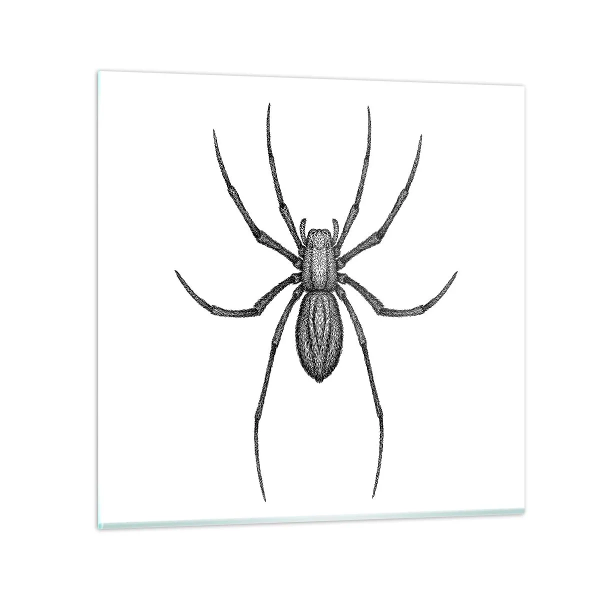 Impression sur verre - Image sur verre - Une précision troublante - 60x60 cm