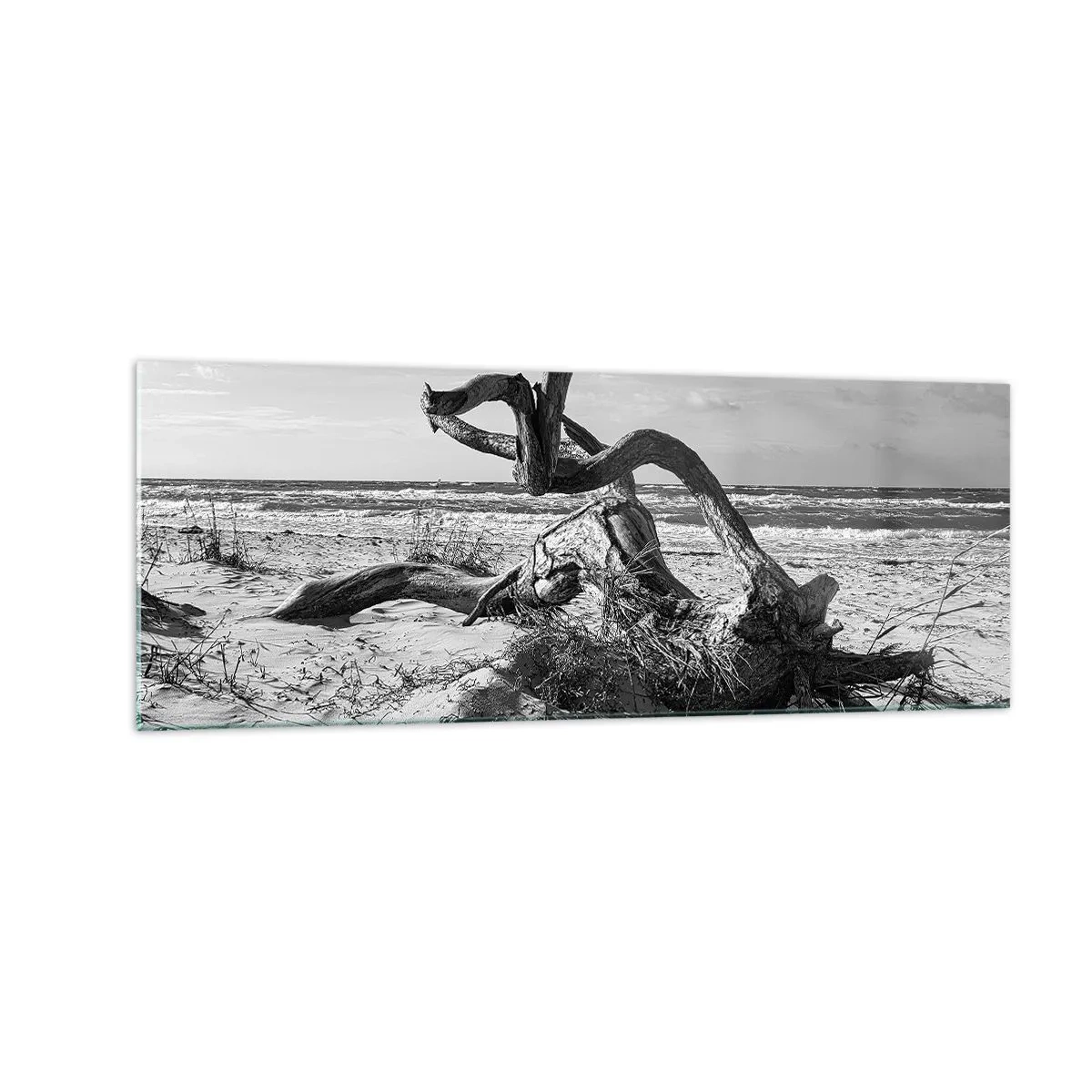 Impression sur verre - Image sur verre - Paysage noir et blanc avec un arbre mort sur la plage - 140x50cm - Sculpture marine - Décoration murale moderne pour le salon et la chambre ARTTOR