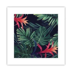 Affiche - Poster - immergé dans la nature - 30x30 cm