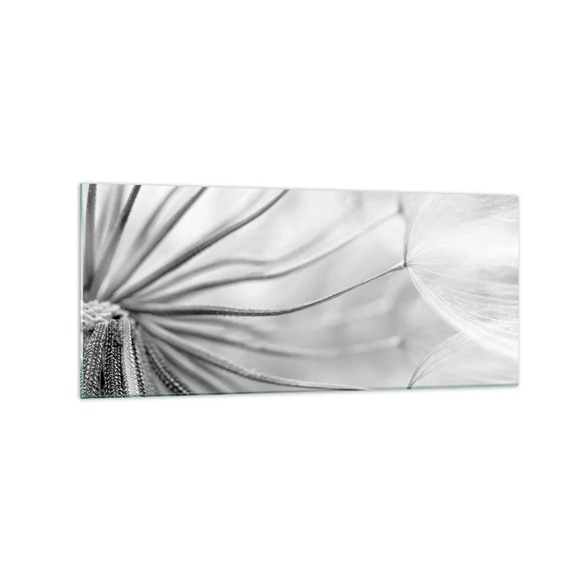 Impression sur verre - Image sur verre - Pissenlits délicats dans des tons noir et blanc - 120x50cm - Aigrette avant son envol - Décoration murale moderne pour le salon et la chambre ARTTOR