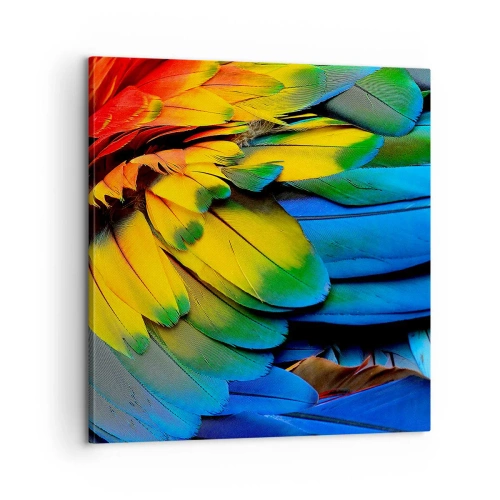 Impression sur toile - Image sur toile - Oiseau de paradis - 60x60 cm