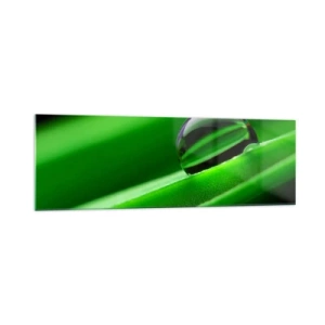 Impression sur verre - Image sur verre - Gros plan d'une goutte de rosée sur une feuille verte - 160x50cm - La vie de près - Décoration murale moderne pour le salon et la chambre ARTTOR
