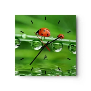 Horloge murale - Pendule murale - Coccinelles sur un brin d'herbe avec des gouttes de rosée dans un cadre naturel - 30x30cm - Sur la route tout l'été - Décoration murale moderne pour le salon et la chambre ARTTOR