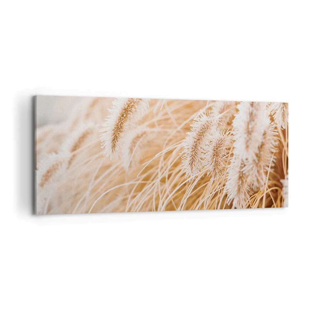Impression sur toile - Image sur toile - Gros plan d'herbes dorées et délicates au soleil - 120x50cm - Le bruissement doré de l'herbe - Décoration murale moderne pour le salon et la chambre ARTTOR