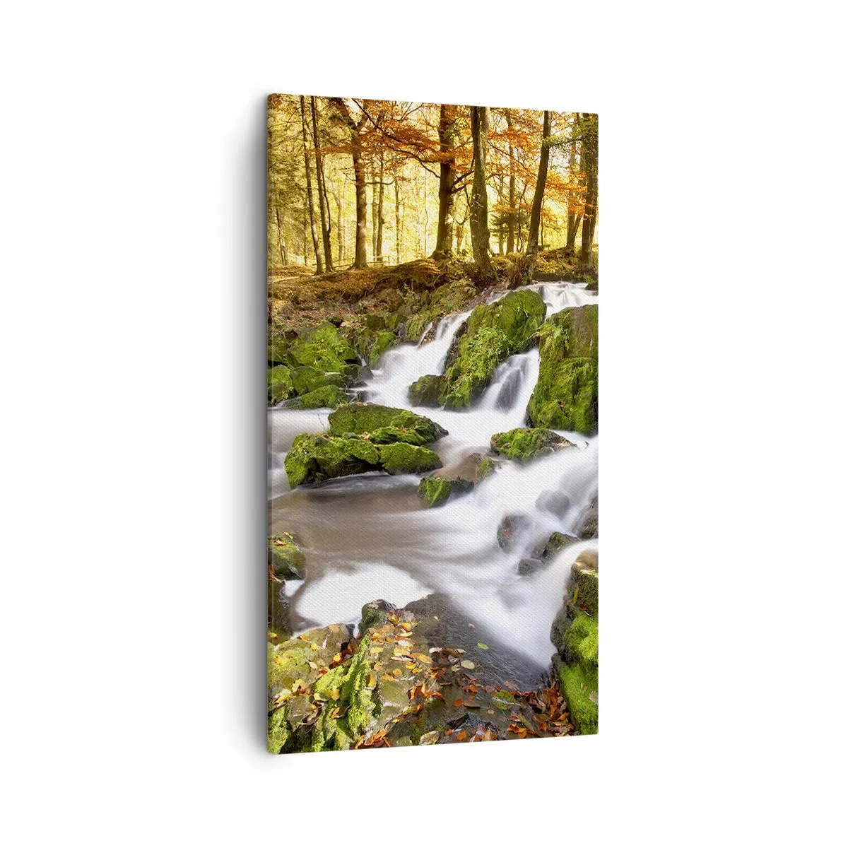 Impression sur toile - Image sur toile - Rapidement à travers la forêt d'automne - 45x80 cm