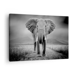 Impression sur toile - Image sur toile - Un puissant éléphant dans la savane aux tons monochromes - 70x50cm - Les hôtes vous saluent - Décoration murale moderne pour le salon et la chambre ARTTOR