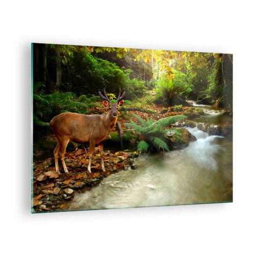 Impression sur verre - Image sur verre - Un cerf près d'un ruisseau dans une forêt ensoleillée - 70x50cm - Bienvenue dans mon monde - Décoration murale moderne pour le salon et la chambre ARTTOR