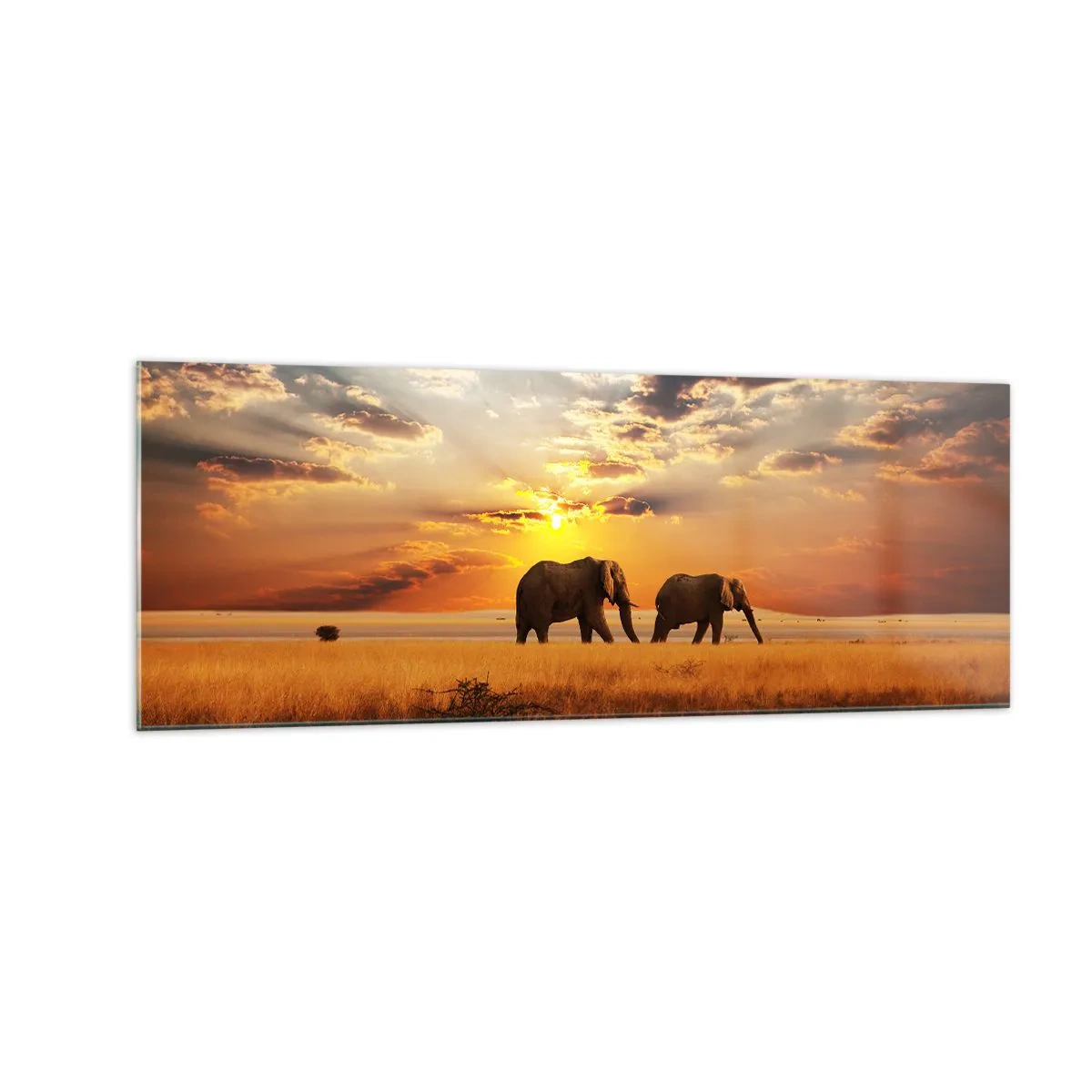 Impression sur verre - Image sur verre - Éléphants dans la savane au coucher du soleil - 140x50cm - Déambulation familliale - Décoration murale moderne pour le salon et la chambre ARTTOR