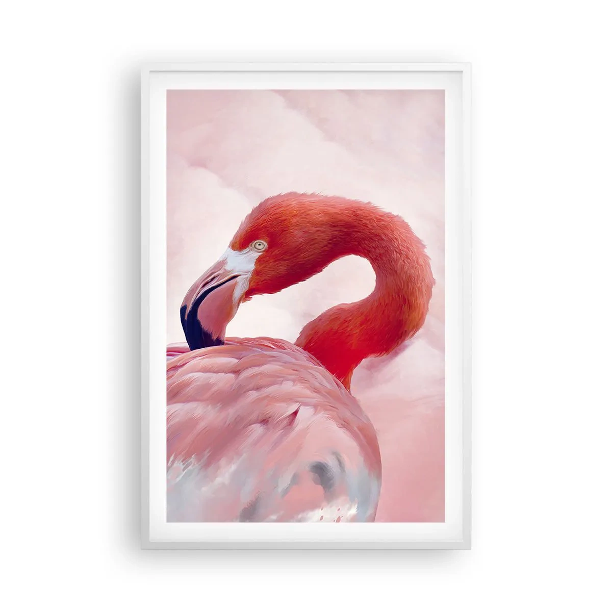 Affiche dans un cadre blanc - Poster - Beauté des oiseaux - 61x91 cm