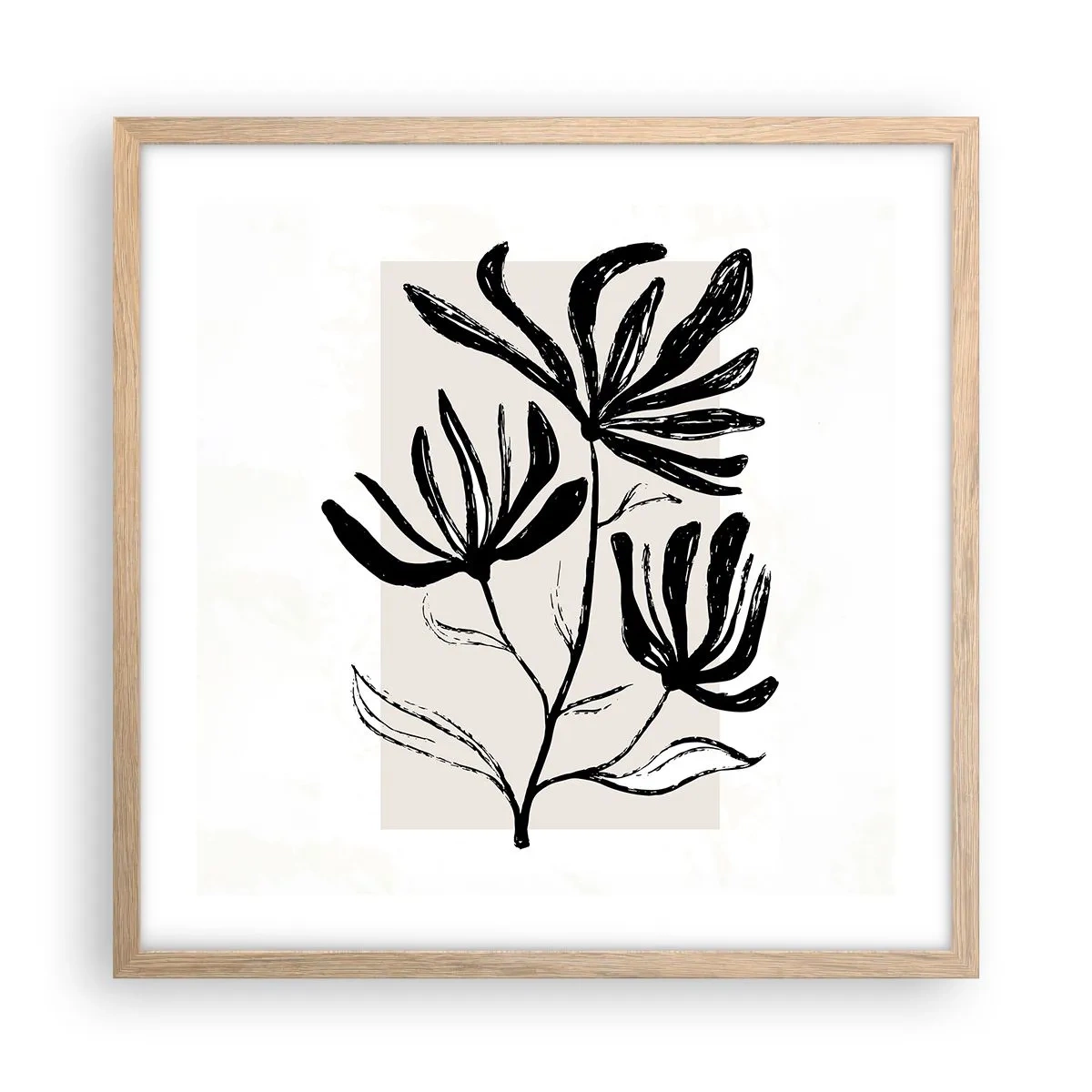Affiche dans un chêne clair - Poster - Esquisse pour l'herbier - 50x50 cm