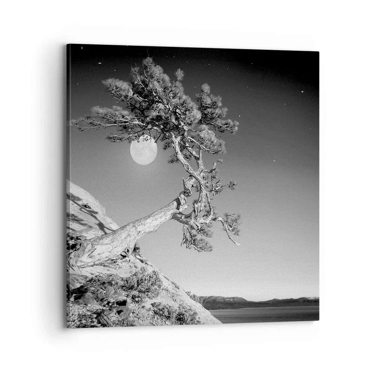 Impression sur toile - Image sur toile - Un combattant vainqueur - 70x70 cm