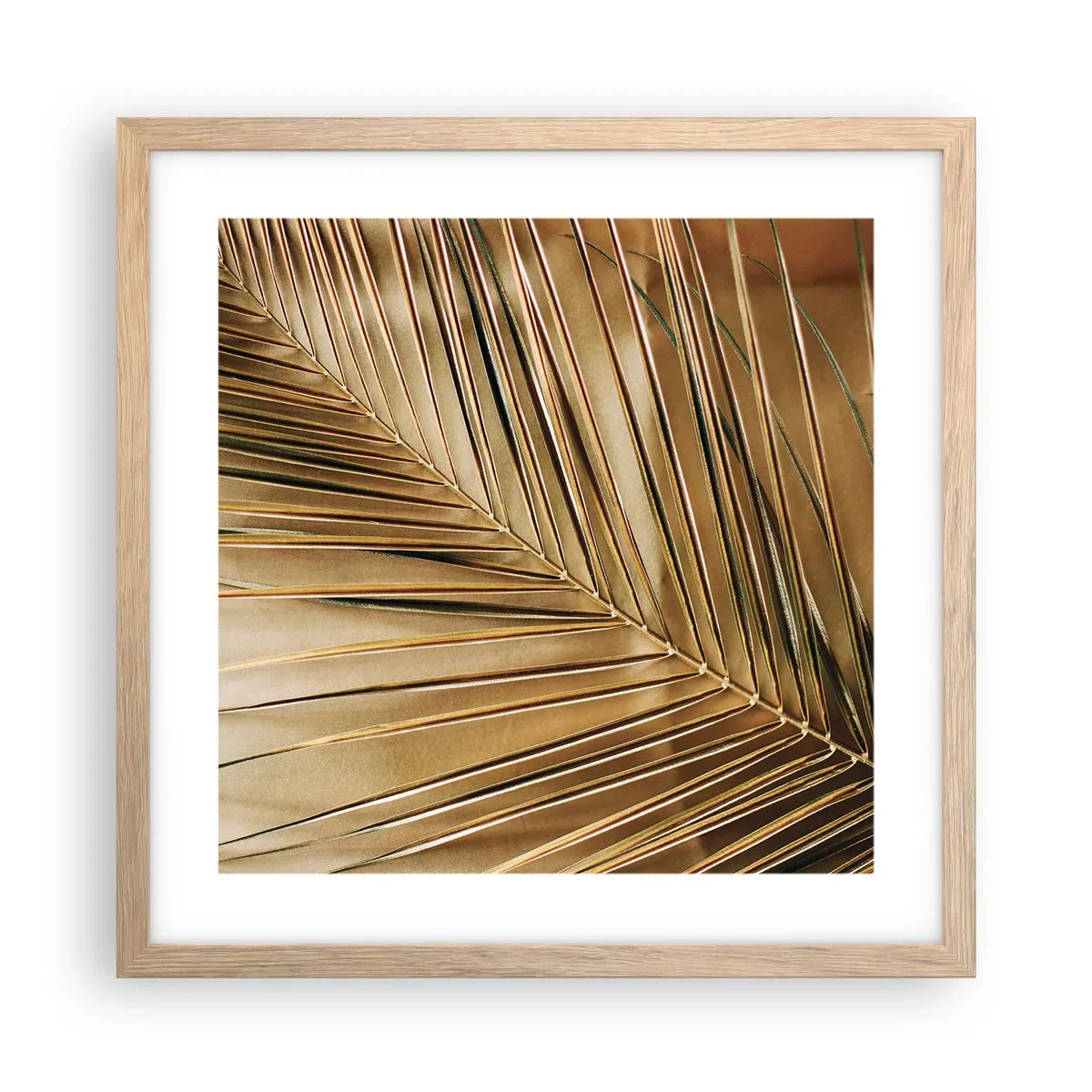 Affiche dans un chêne clair - Poster - Colonnade naturelle - 40x40 cm