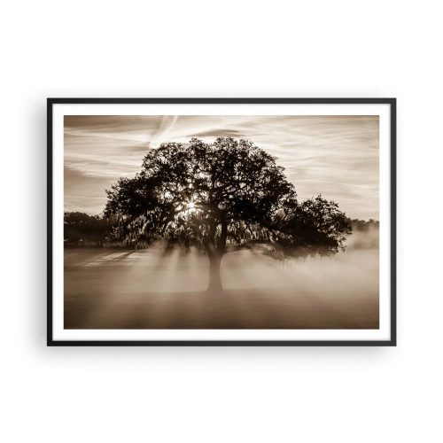 Affiche dans un cadre noir - Poster - Des rayons de soleil brillent à travers un arbre solitaire - 100x70cm - Arbre de bonnes nouvelles - Décoration murale moderne pour le salon et la chambre ARTTOR