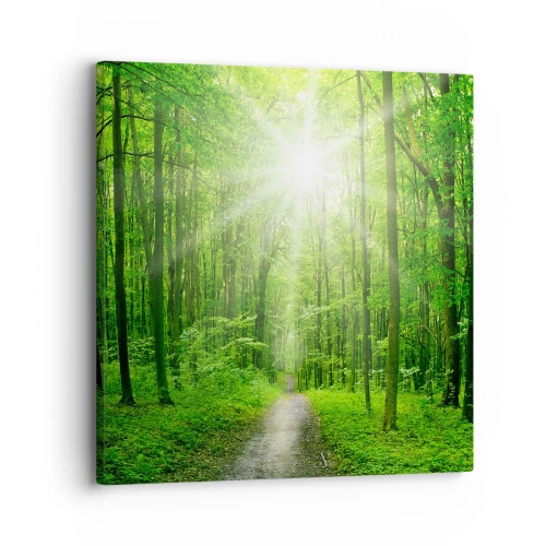 Impression sur toile - Image sur toile - Cathédrale verte - 30x30 cm
