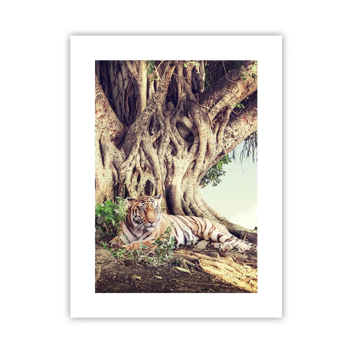 Affiche - Poster - Vue du Livre de la Genèse - 30x40 cm