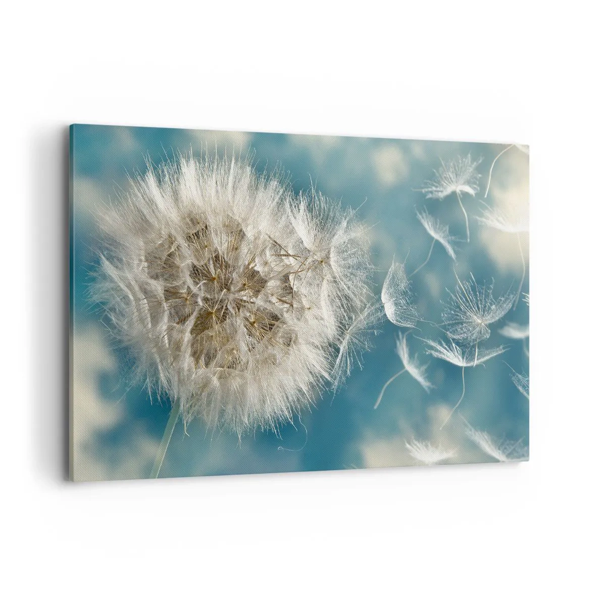 Impression sur toile - Image sur toile - Un pissenlit soufflé contre un ciel bleu - 120x80cm - souffle d'ange - Décoration murale moderne pour le salon et la chambre ARTTOR
